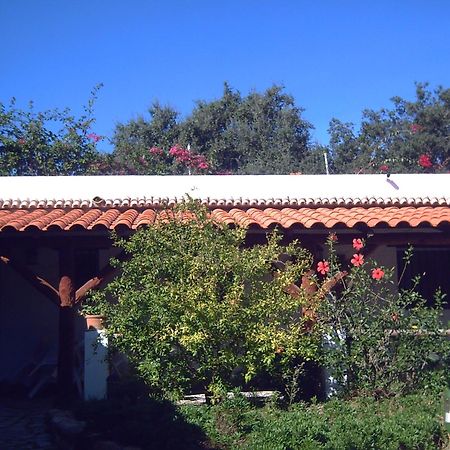 Finca El Abuelo Barbate Exteriér fotografie
