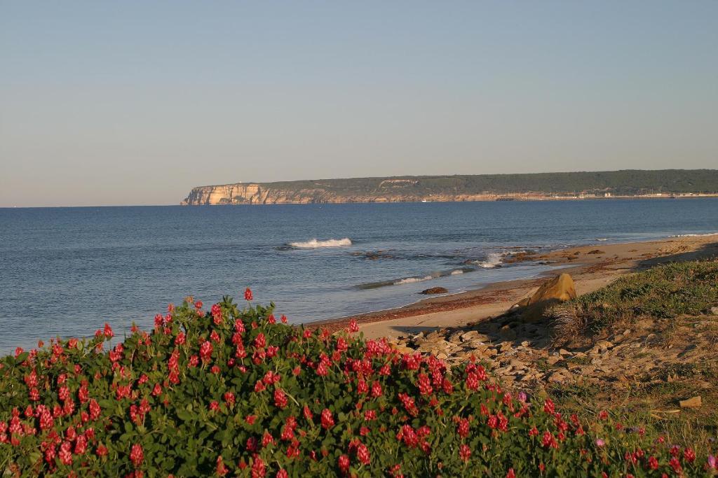 Finca El Abuelo Barbate Pokoj fotografie